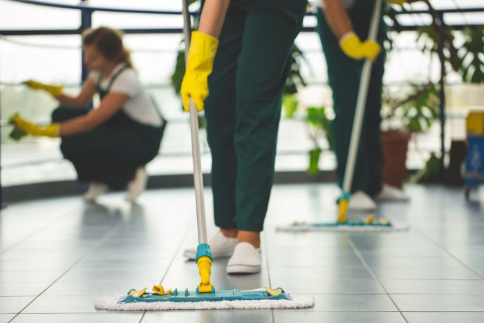 Diogène Service : pourquoi faire appel à cette entreprise ?